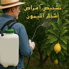 زيارة ميدانية لتشخيص أمراض أشجار الليمون و القوارص